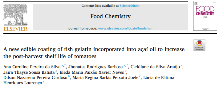 Qual é a importância das panelas de cozinha na nossa saúde? A nutricionista  Catarina Lopes explica - MAGG Lab - MAGG